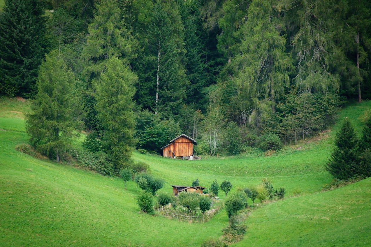 Serene wooden cabin nestled within lush green forest landscape in Trentino, Italy.