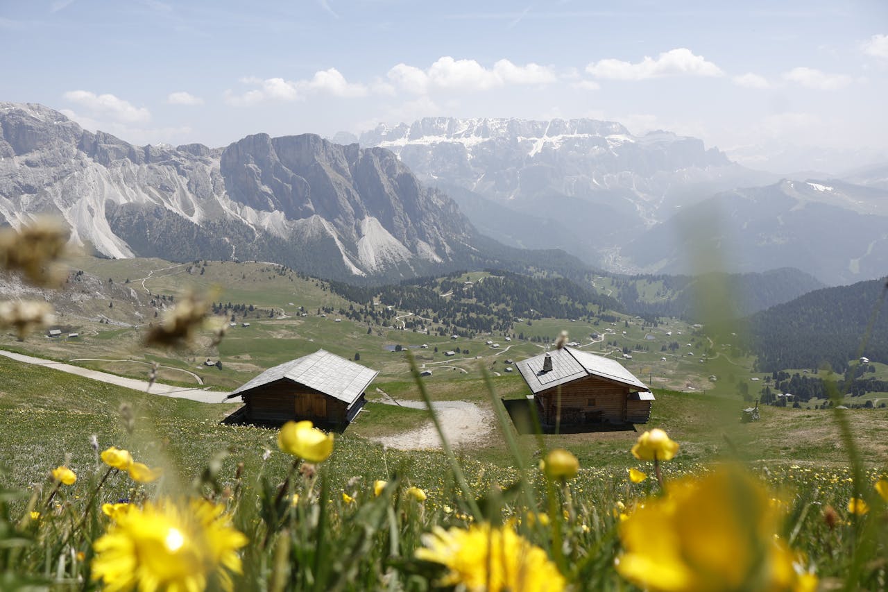 Breathtaking landscape of alpine cabins surrounded by wildflowers in the Dolomites.
